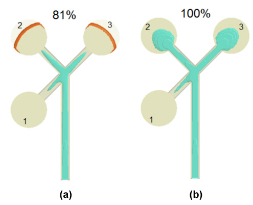 utilizing-cae-tools-to-overcome-the-challenges-of-multi-cavity-co-injection-molding-4