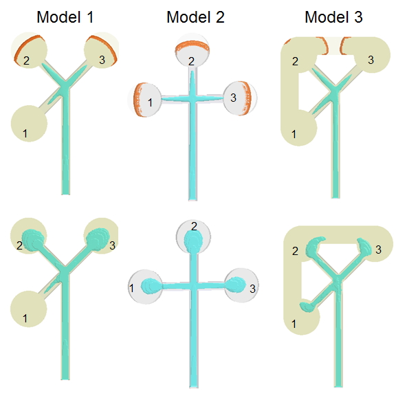 utilizing-cae-tools-to-overcome-the-challenges-of-multi-cavity-co-injection-molding-5